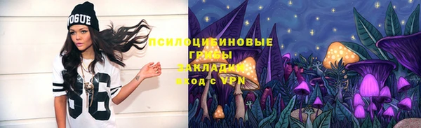 стаф Арсеньев