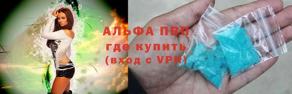 стаф Арсеньев
