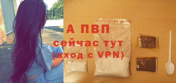 стаф Арсеньев