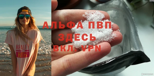 стаф Арсеньев