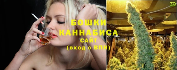 стаф Арсеньев