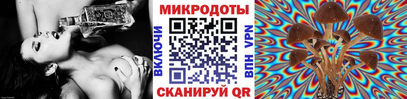 купить закладку Барыш Галлюциногенные грибы Magic Shrooms